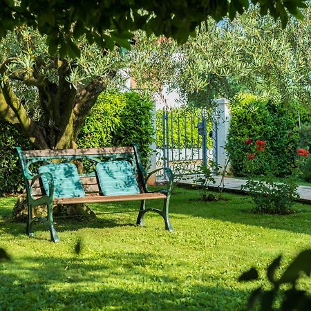 B&B Carmela Umag Bagian luar foto