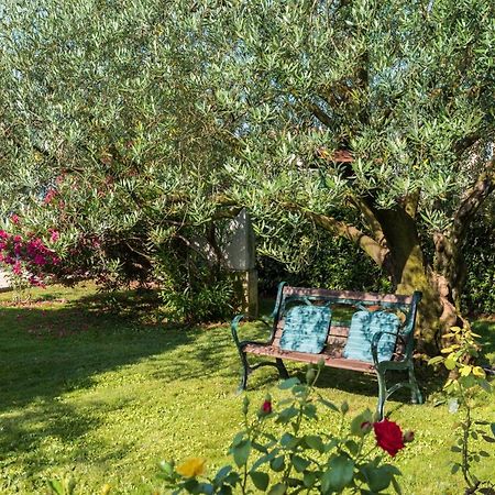 B&B Carmela Umag Bagian luar foto