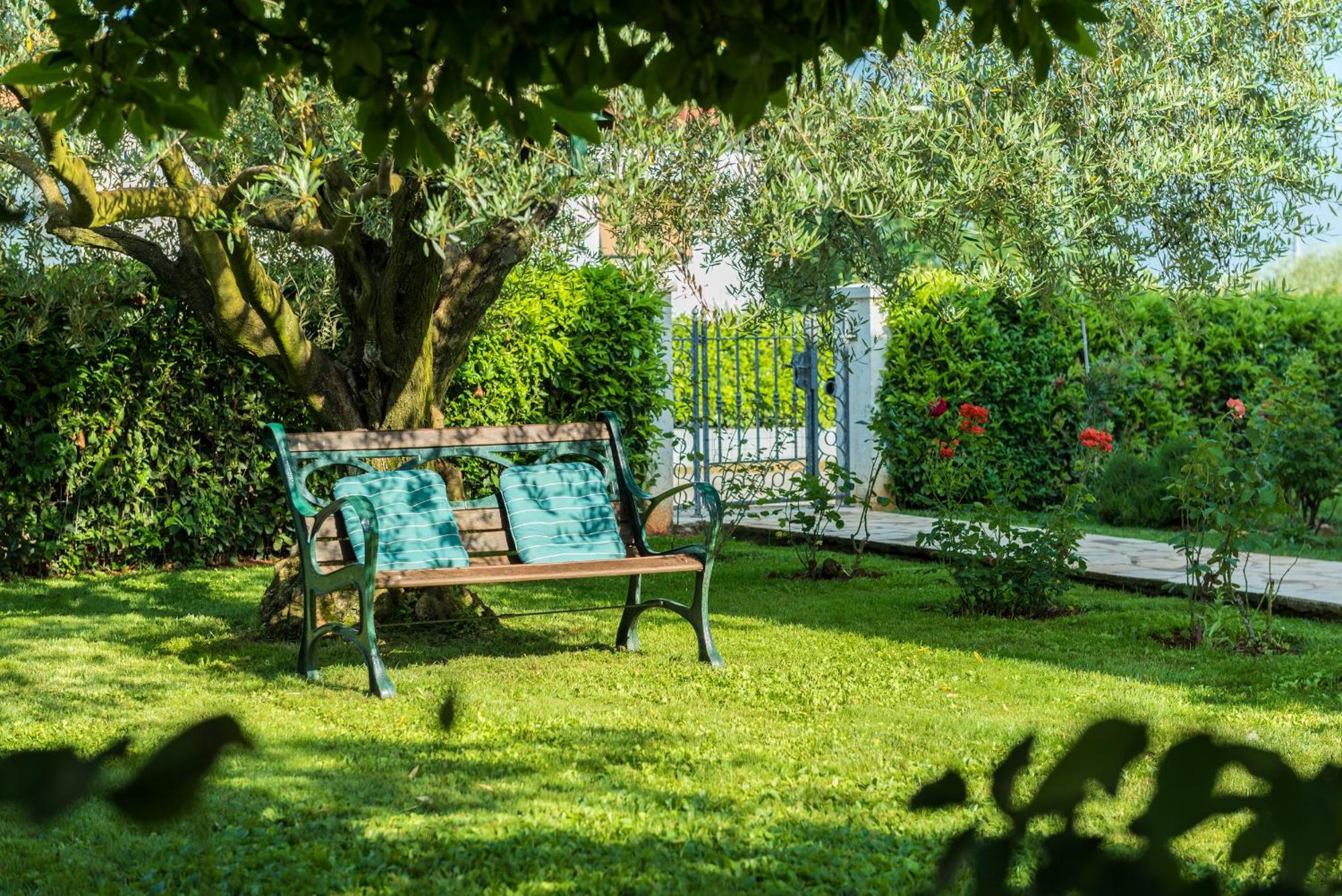 B&B Carmela Umag Bagian luar foto