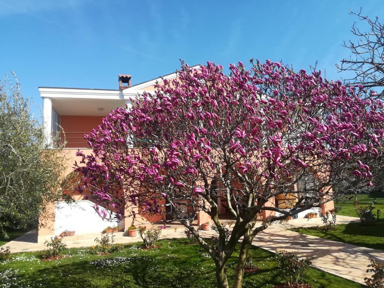 B&B Carmela Umag Bagian luar foto