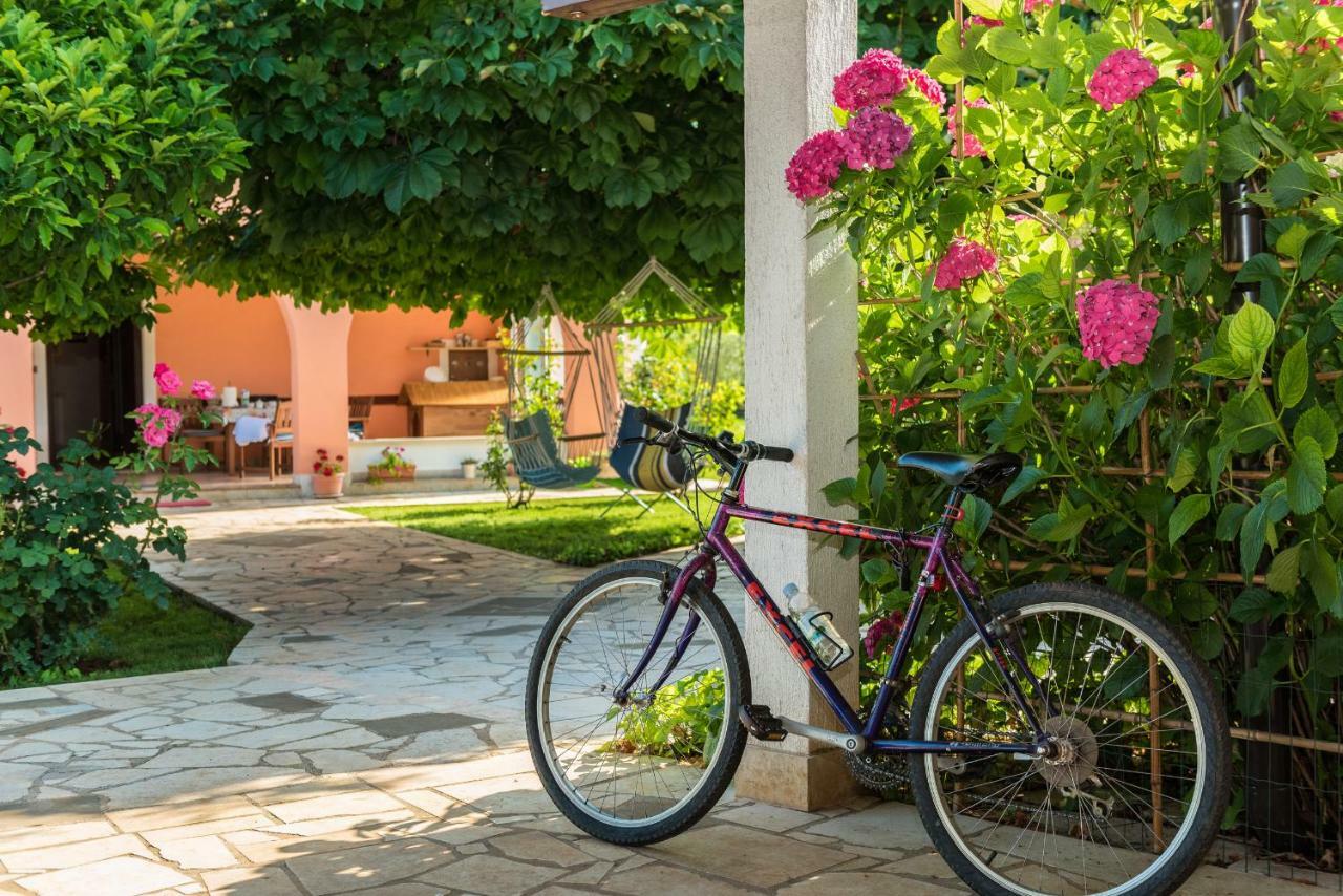 B&B Carmela Umag Bagian luar foto