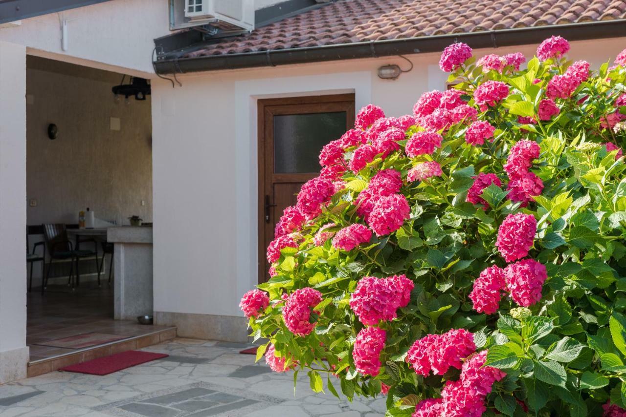 B&B Carmela Umag Bagian luar foto